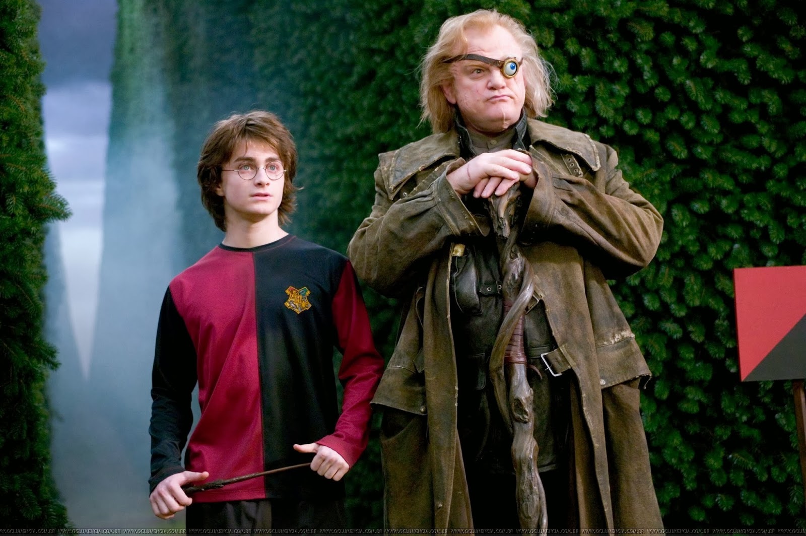 Harry Potter (Daniel Radcliffe) and new Dark Arts professor Alasdor Moody (Brendan Gleeson) in Harry Potter and the Goblet of Fire (2005)