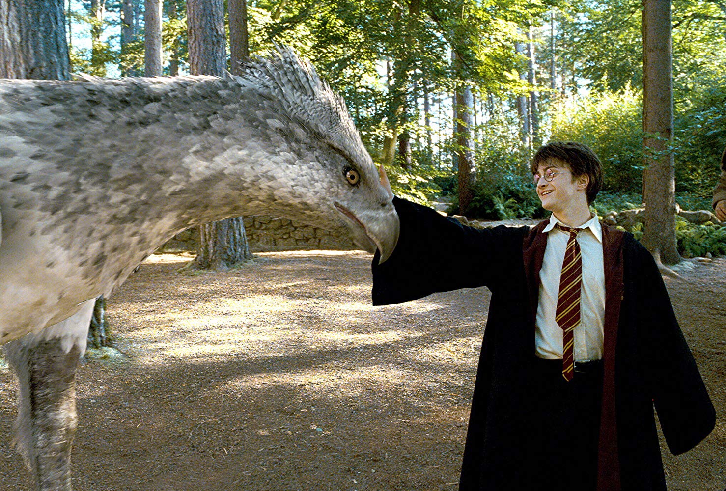 Harry Potter (Daniel Radcliffe) meets the Hippogriff in Harry Potter and the Prisoner of Azkaban (2004)