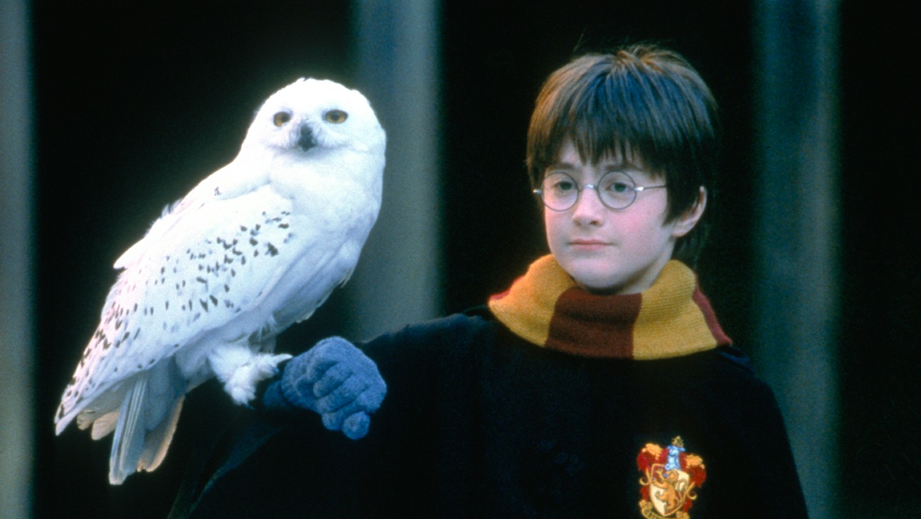 Daniel Radcliffe as Harry Potter with Hedwig the owl in Harry Potter and the Sorcerer's Stone (2001)