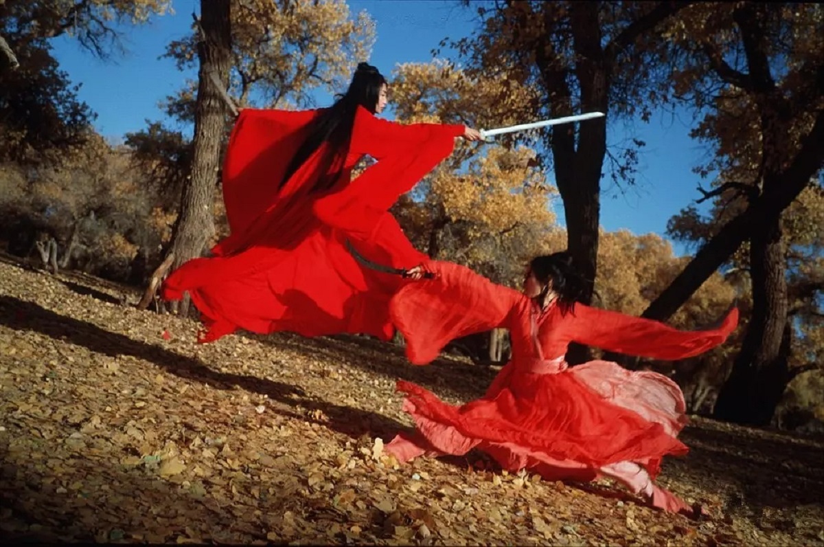 Maggie Cheung and Zhang Ziyi in combat in Hero (2003)