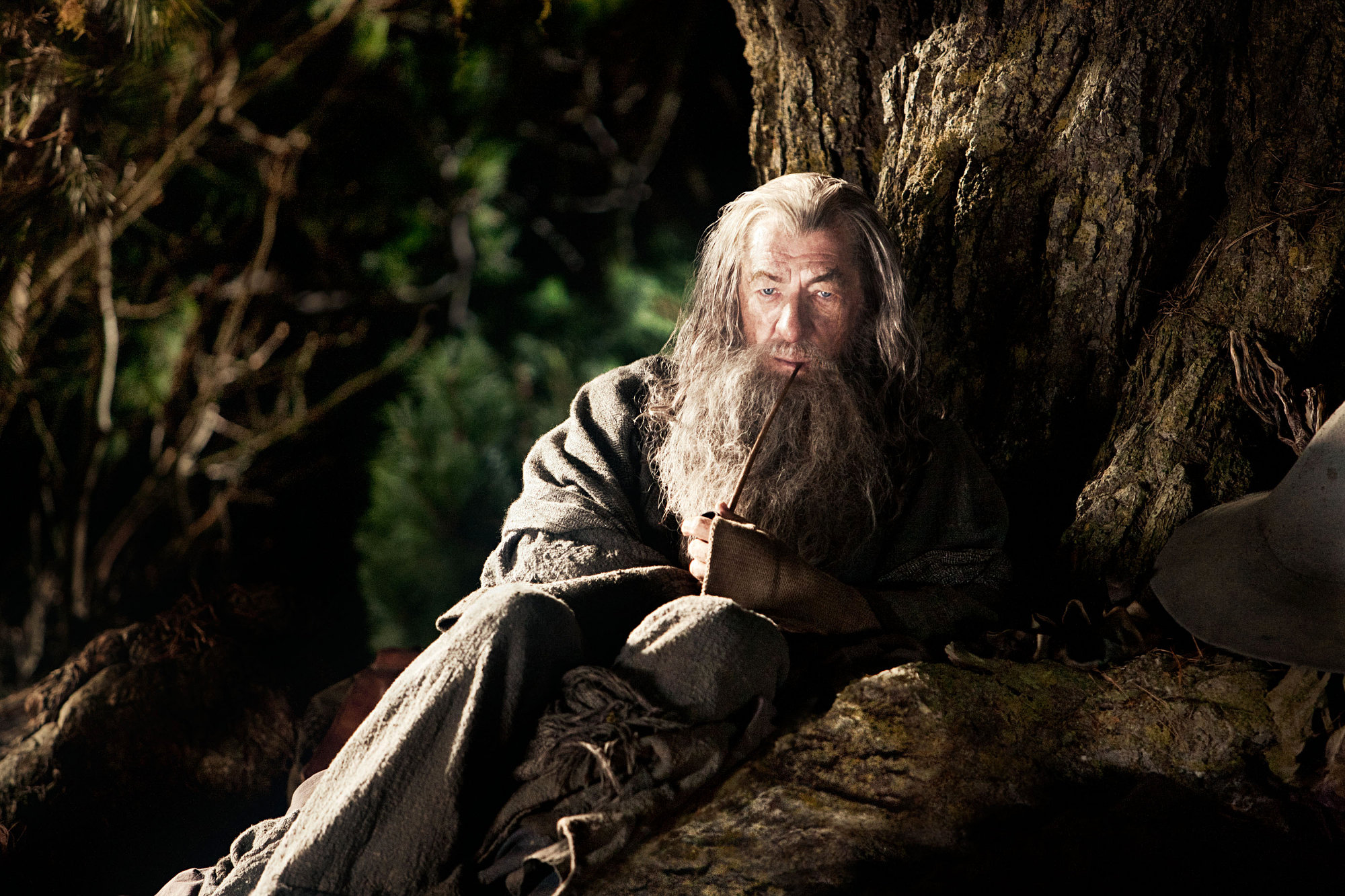 Gandalf (Ian McKellen) in The Hobbit: An Unexpected Journey (2012)