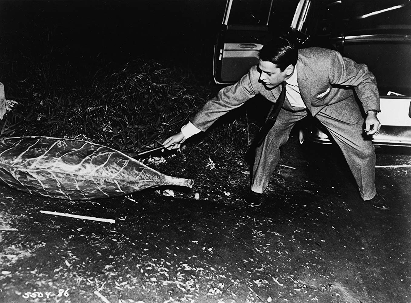 Kevin McCarthy examines a pod in Invasion of the Body Snatchers (1956)