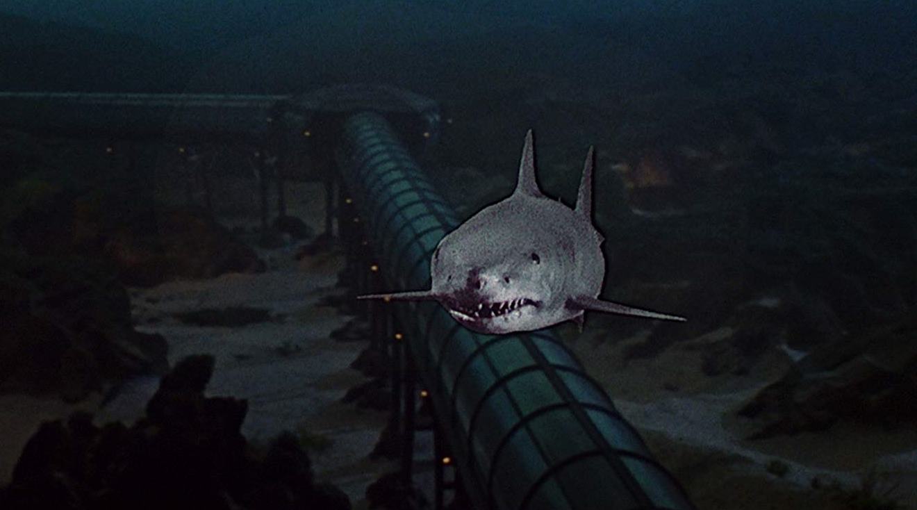 Killer shark from Jaws 3-D (1983)