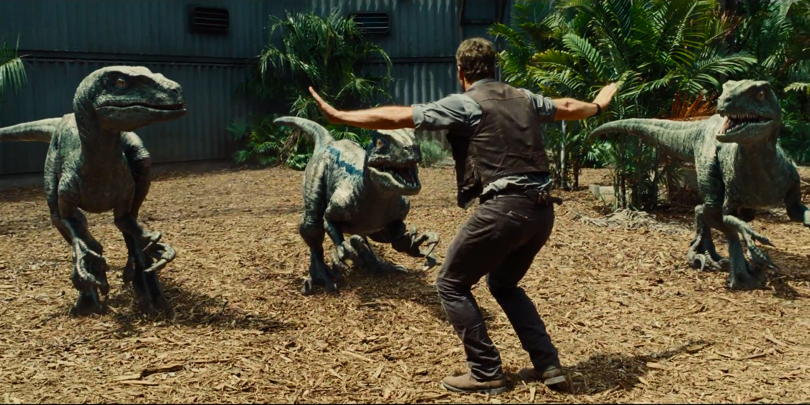 Owen Grady (Chris Pratt) velociraptor tamer in Jurassic World (2015)