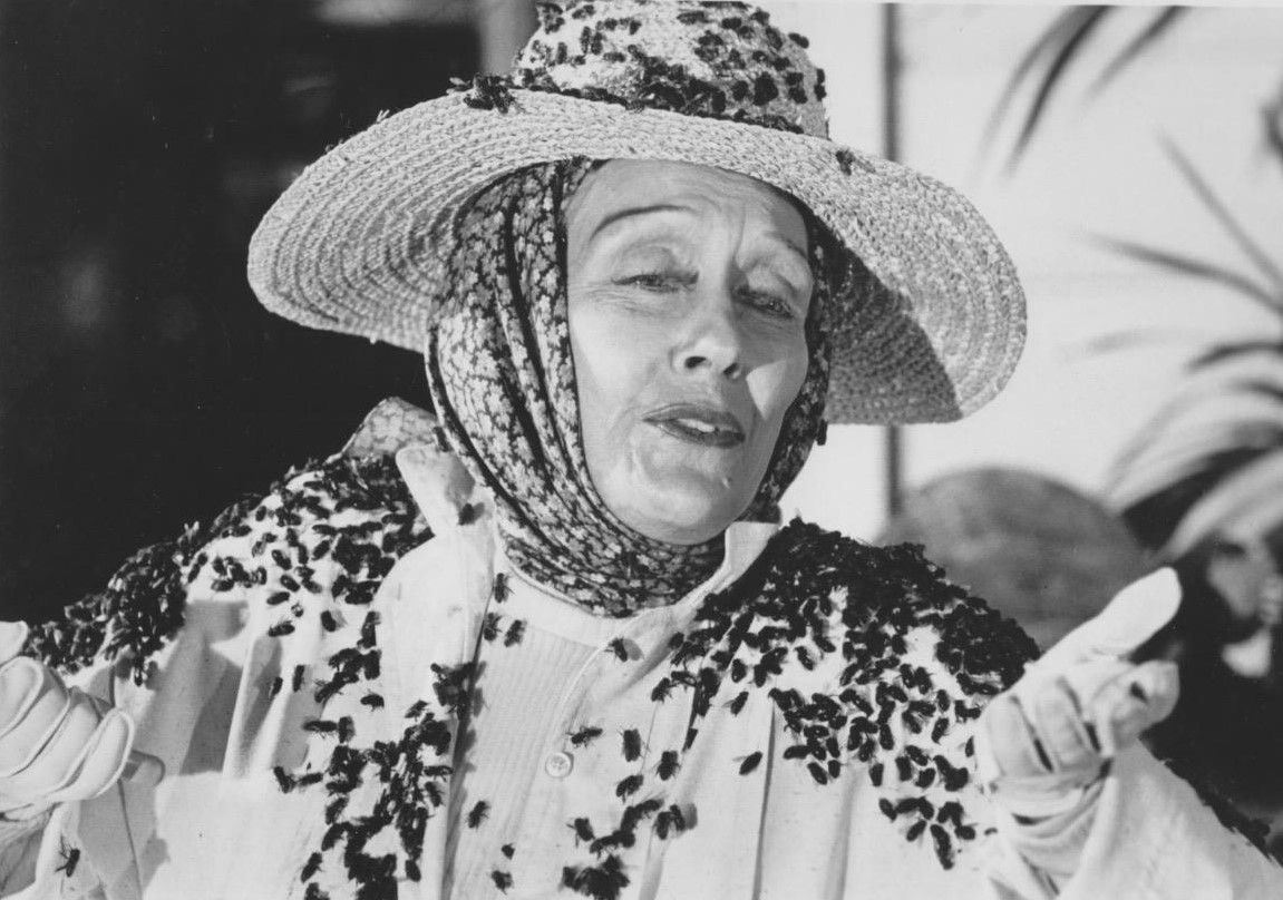 An aging Gloria Swanson surrounded by killer bees in Killer Bees (1974)