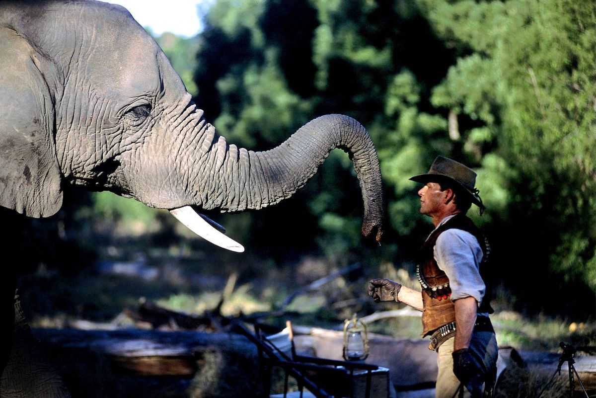 Patrick Swayze and elephant in King Solomon's Mines (2004)