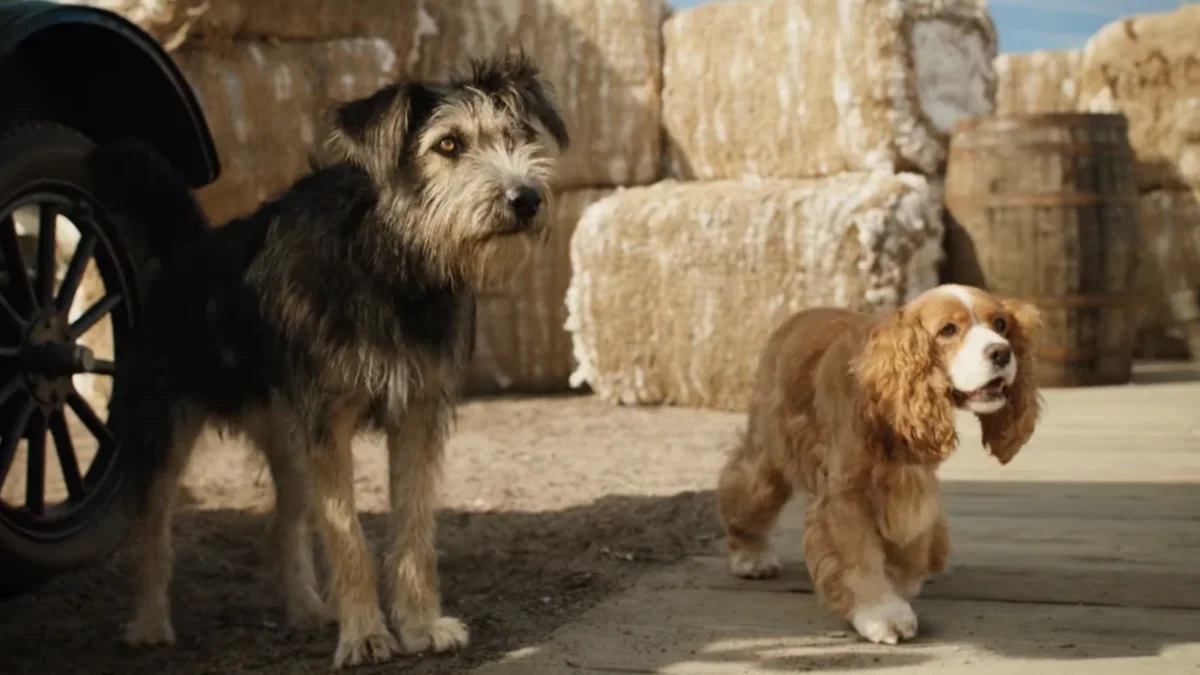 (l to r) Tramp (voiced by Justin Theroux) and Lady (voiced by Tessa Thompson) in Lady and the Tramp (2019)