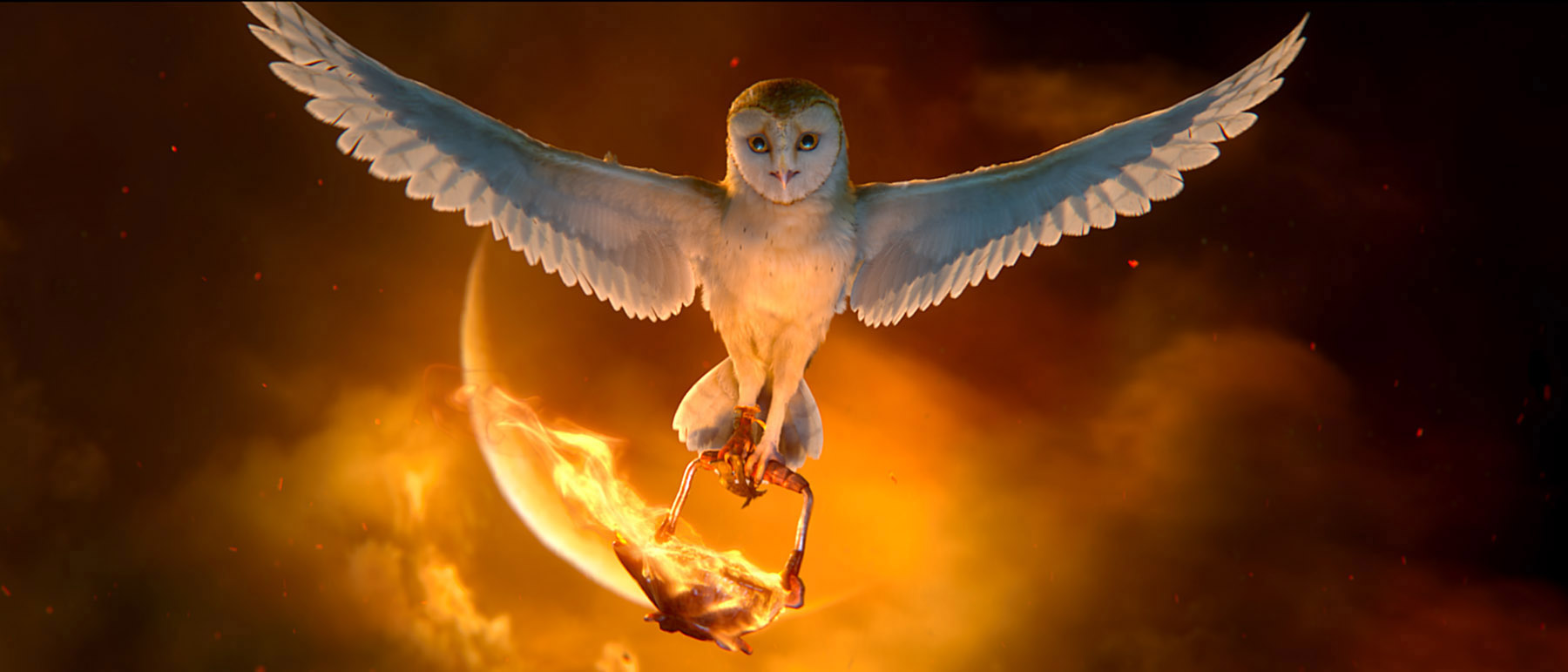 Soren (voiced by Jim Sturgess) in The Legend of the Guardians: The Owls of Ga'Hoole (2010)