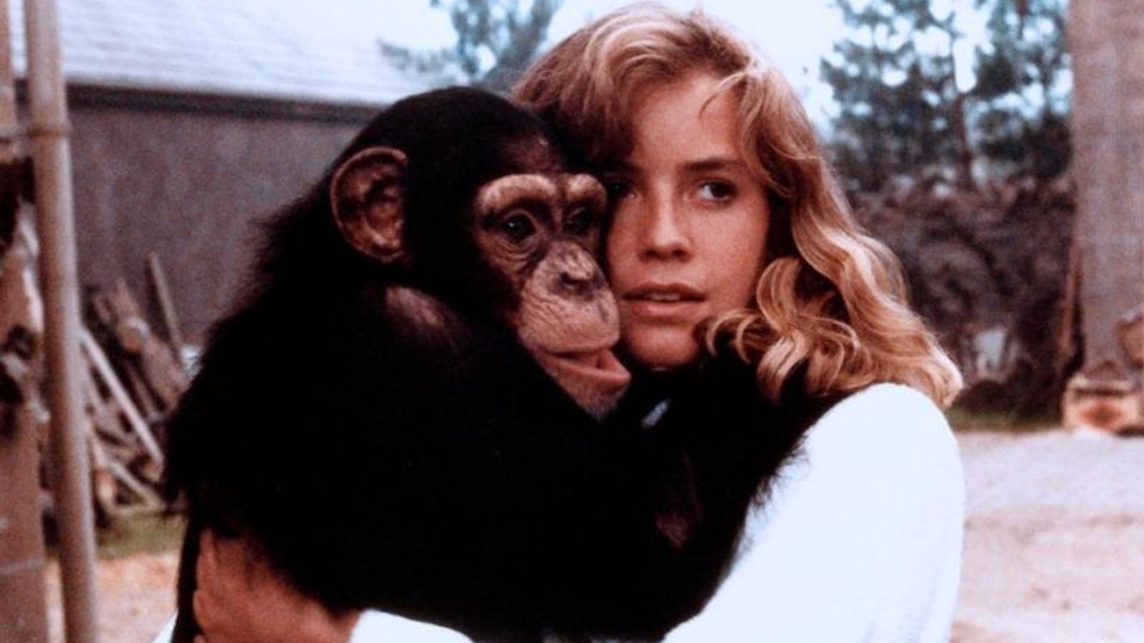 Elisabeth Shue and chimpanzee in Link (1986)