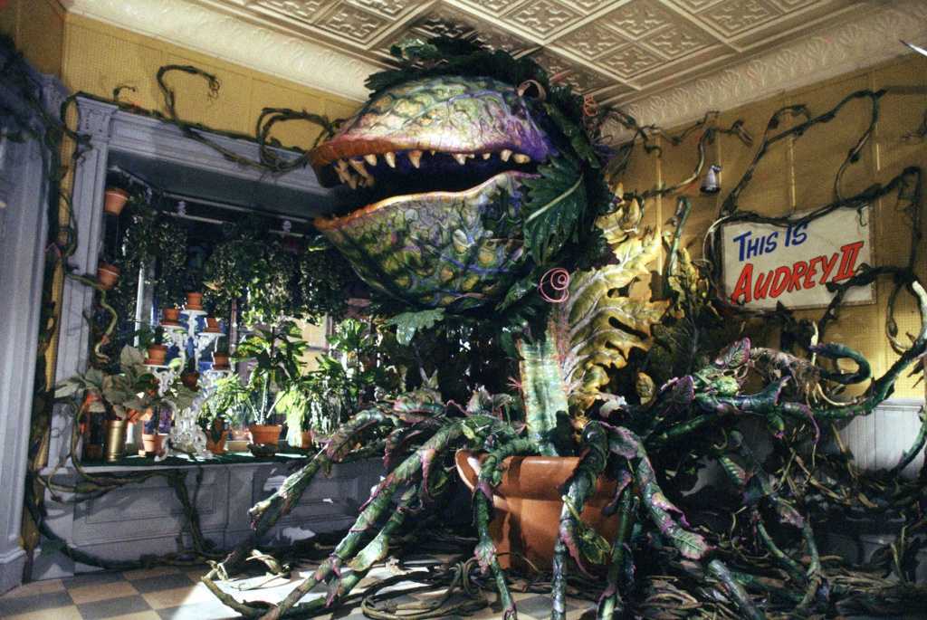 The full-size Audrey Jr in Little Shop of Horrors (1986)