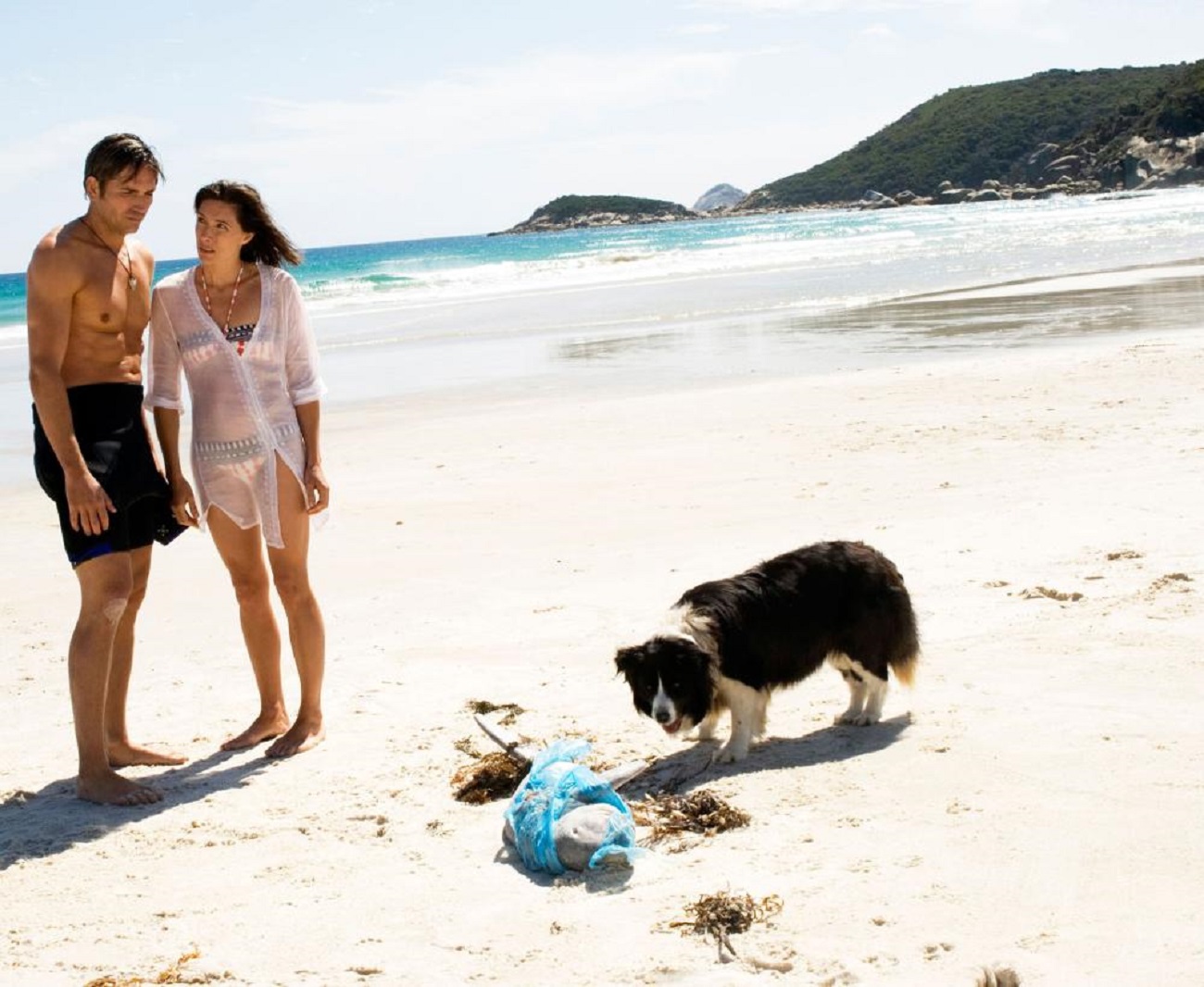 Jim Caviezel and Claudia Karvan as the dog finds something on the beach in Long Weekend (2008)