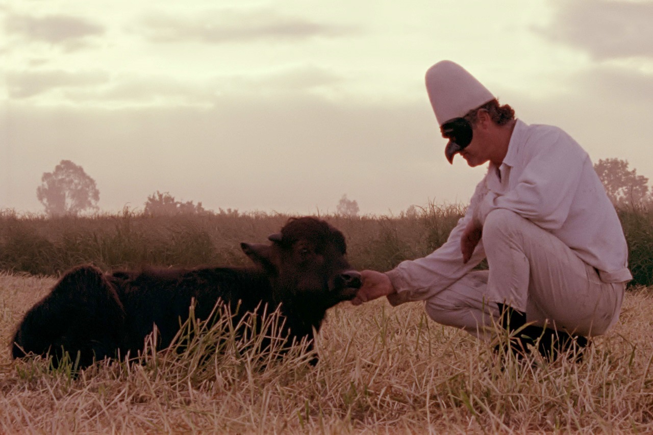 Pulcinella (Sergio Vitolo) and the bull in Lost and Beautiful (2015)