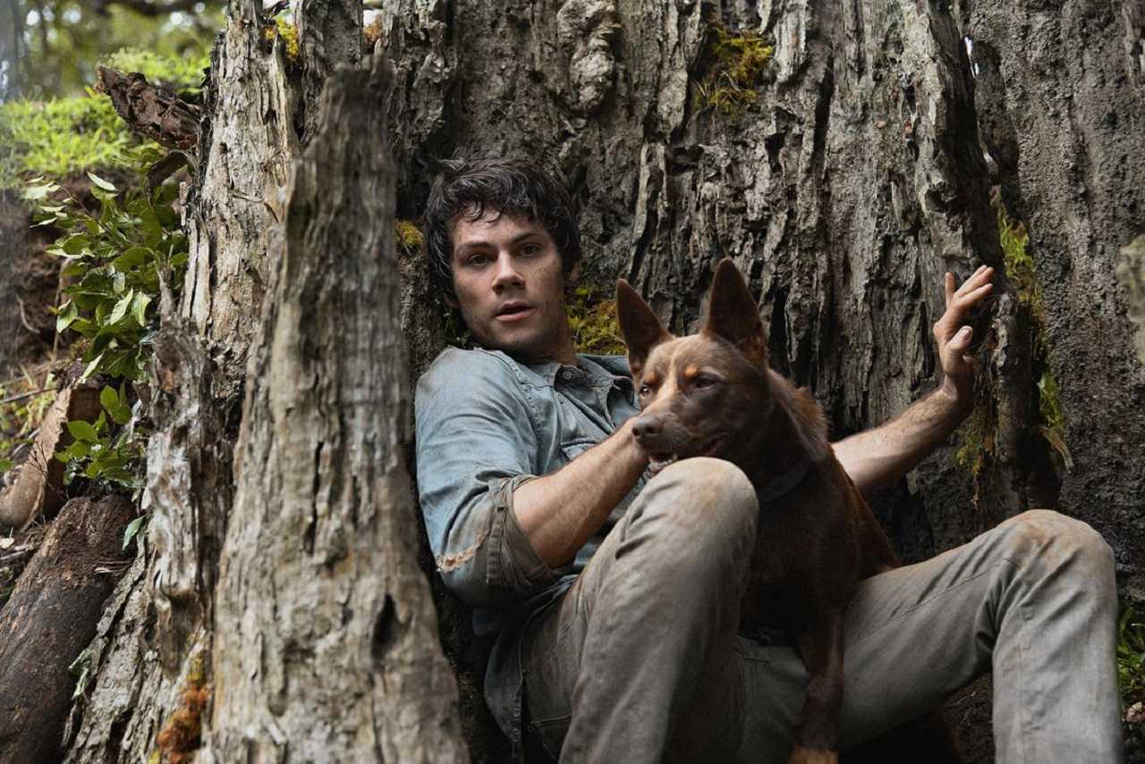 Joel Dawson (Dylan O'Brien) and the dog Boy in Love and Monsters (2020)