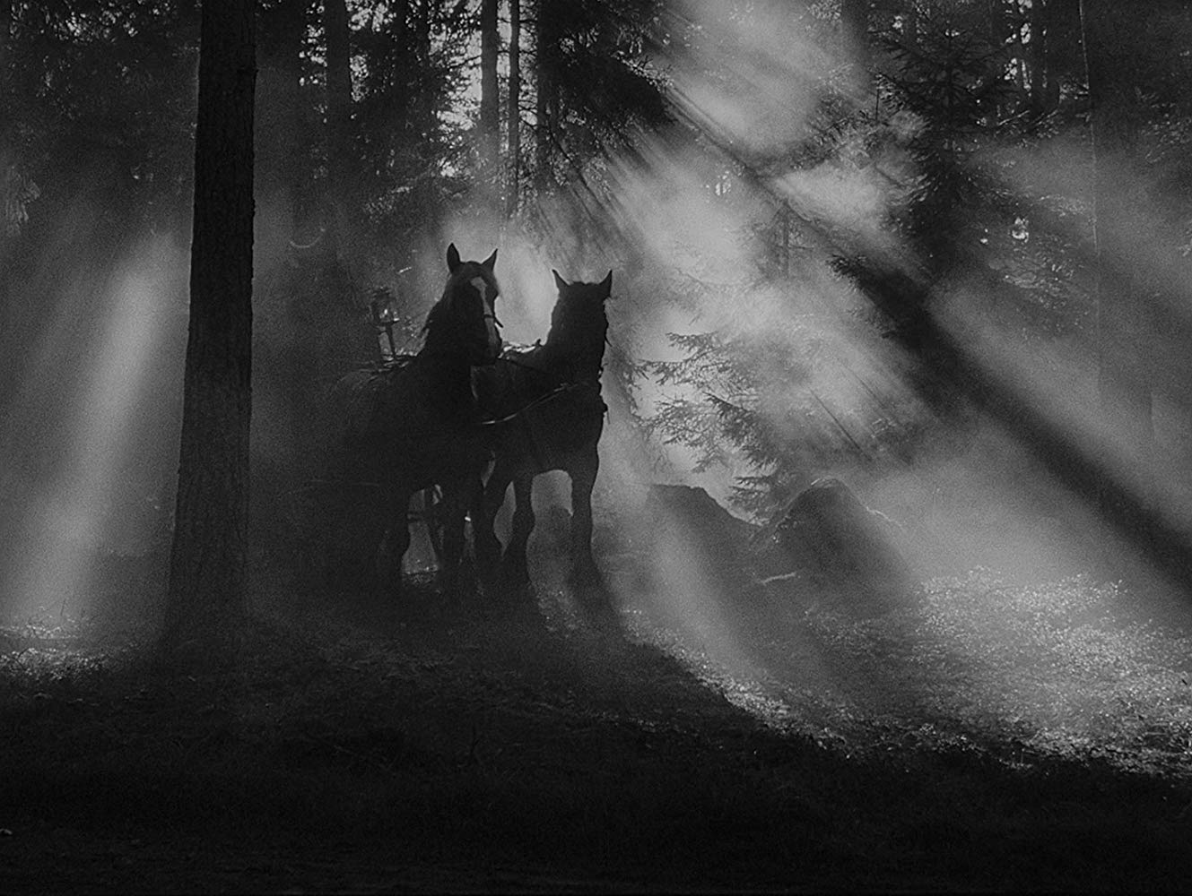 The incredibly haunted opening carriage journey through the forest in The Magician (1958)