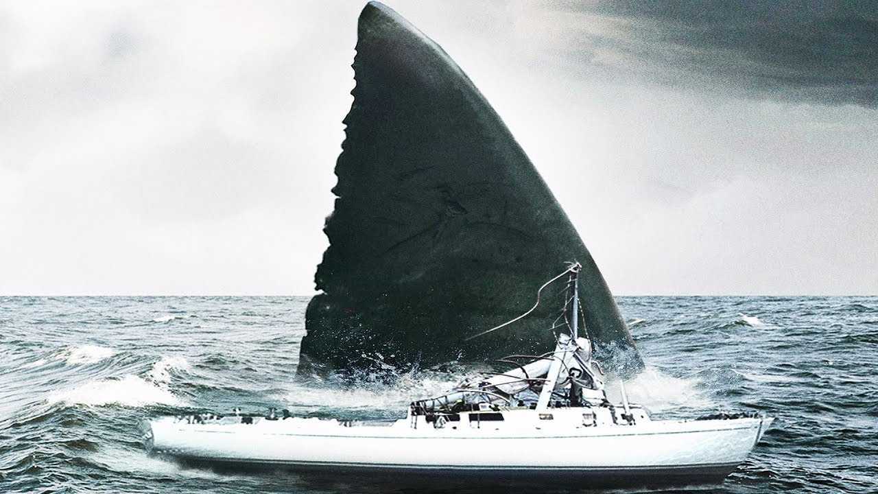 The megalodon attacks a yacht in Megalodon (2018)