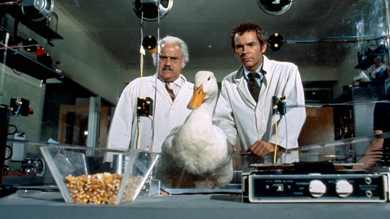 Jack Kruschen and Dean Jones with duck in The Million Dollar Duck (1971)