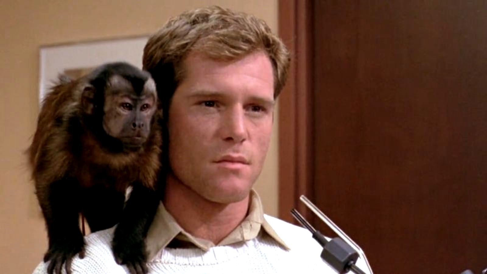 Paraplegic Jason Beghe and his monkey companion Ella in Monkey Shines (1988)