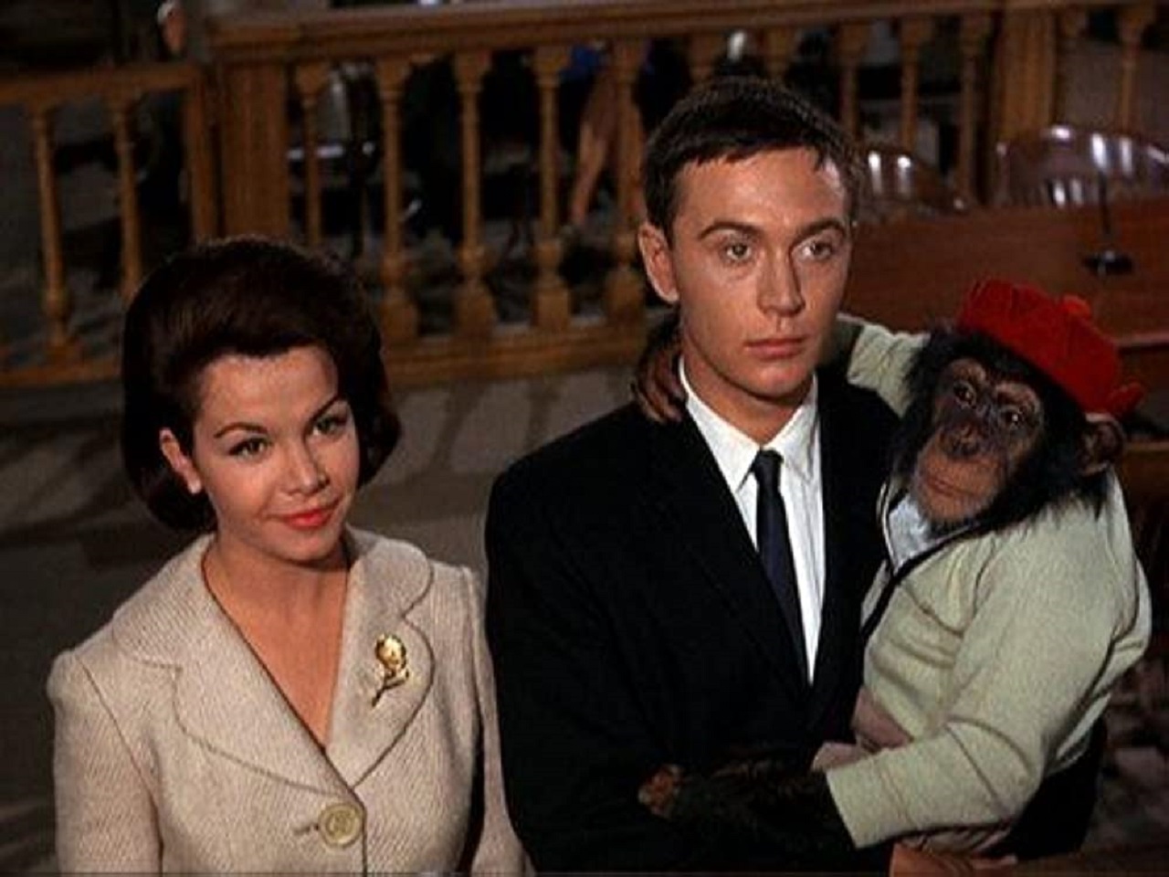 Annette Funicello,and Merlin Jones (Tommy Kirk) with Stanley the chimpanzee in The Monkeys Uncle (1965)