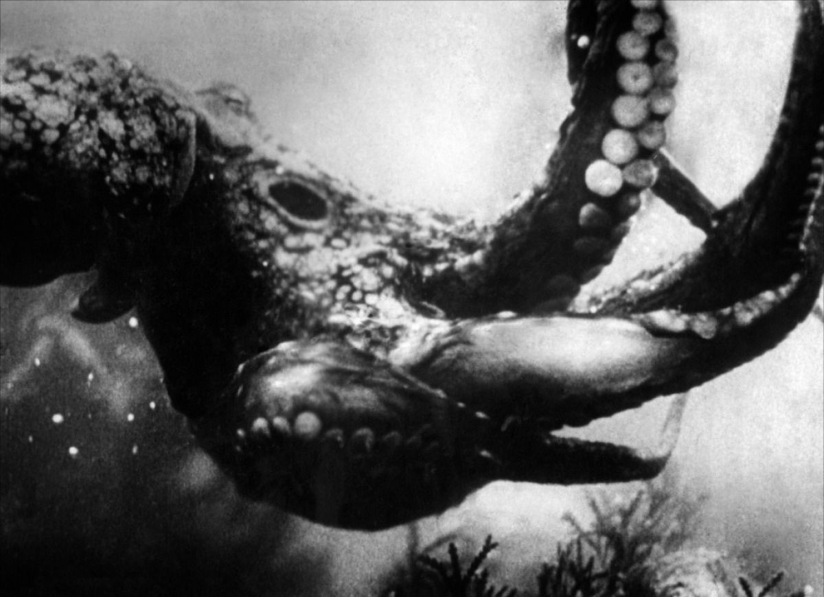 The sea monster in Monster from the Ocean Floor (1954)