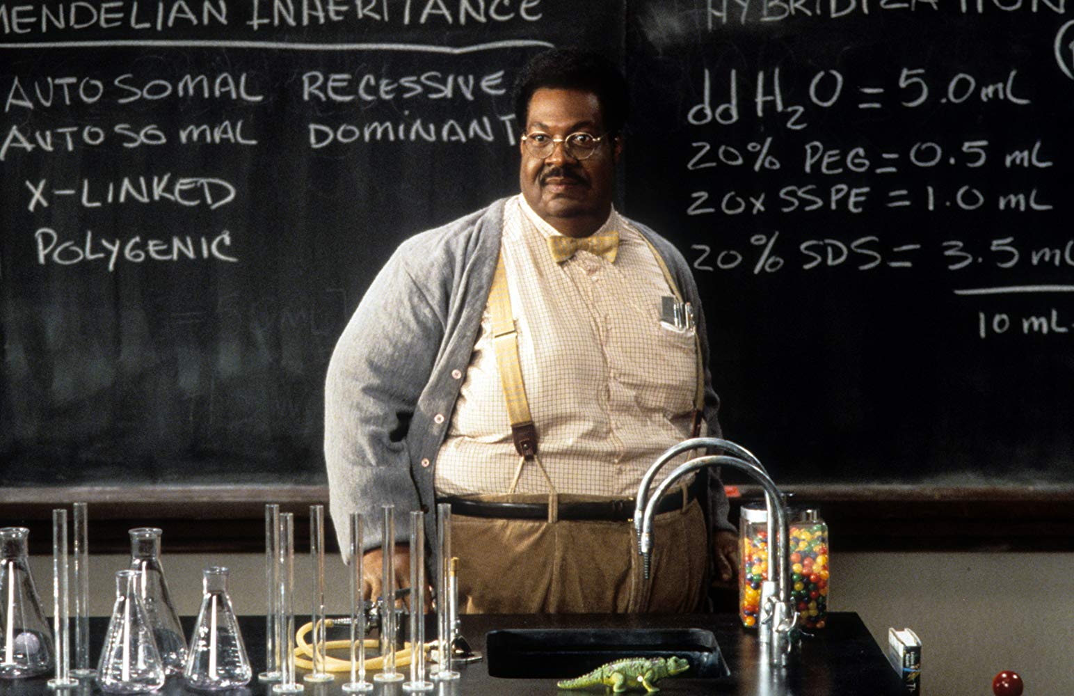 Eddie Murphy as Professor Sherman Klump in The Nutty Professor (1996)