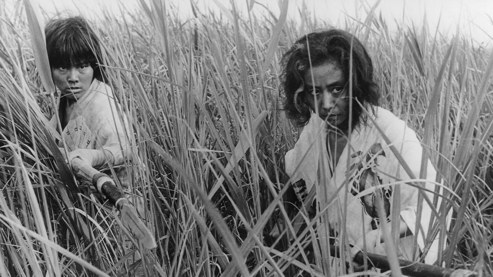 Daughter-in-law Jitsuko Yoshimura and mother Nobuko Otawa lie in wait in the sea of reeds in Oni Baba (1964)