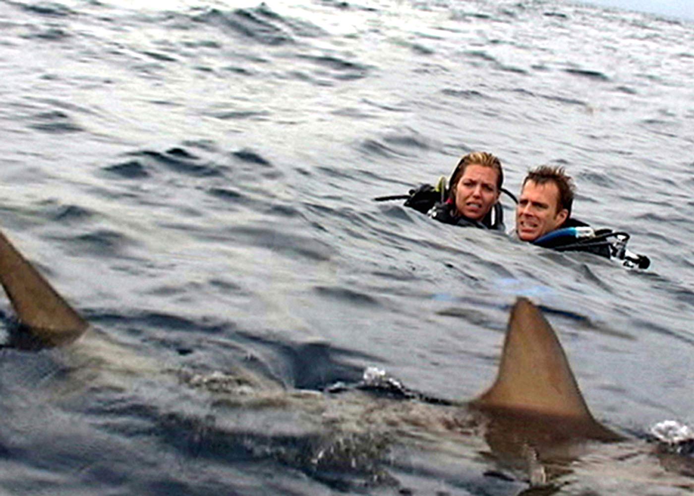 Open water 2003 full movie watch online online