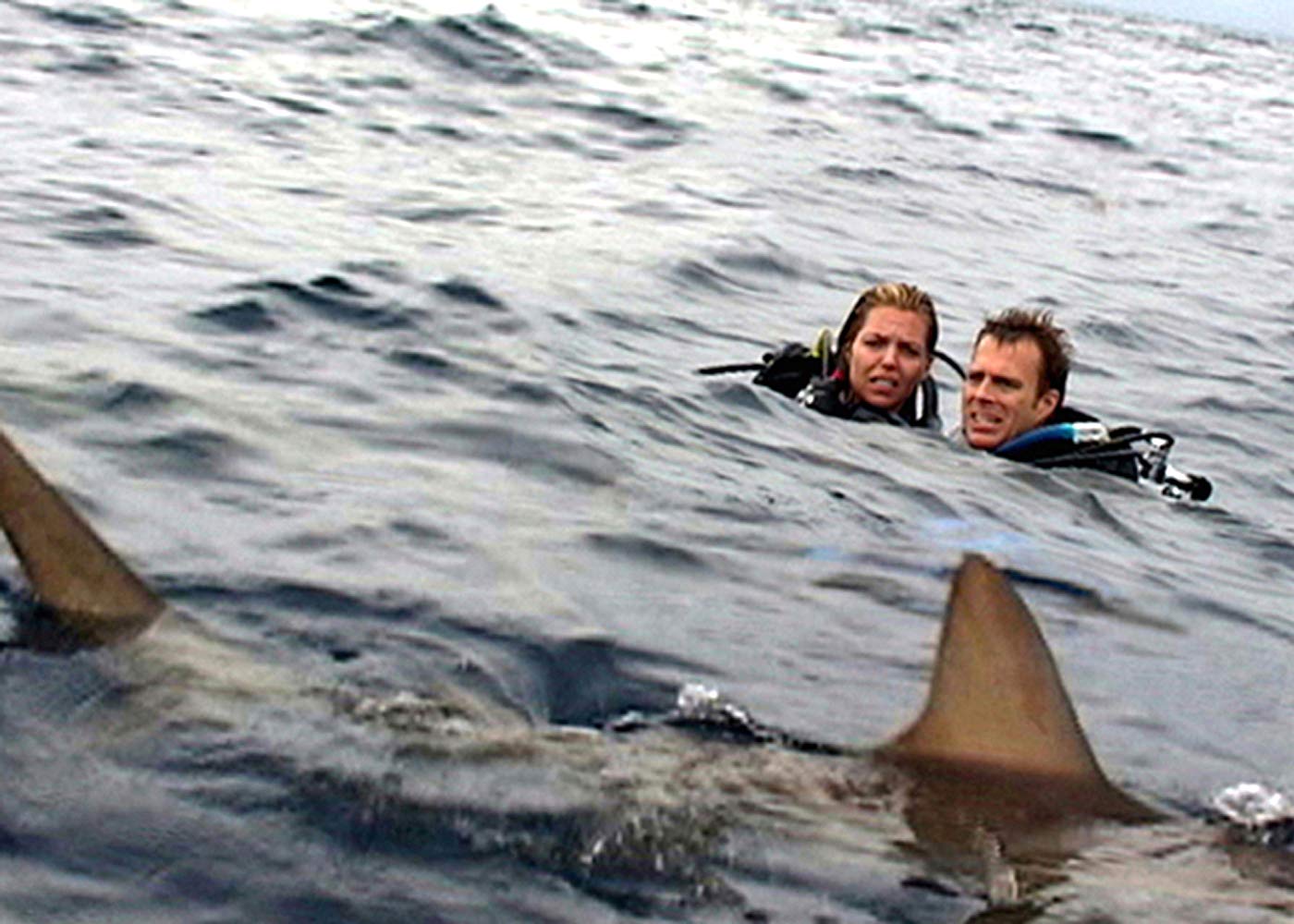 Blanchard Ryan and Daniel Travis stranded in a sea of sharks in Open Water (2003)