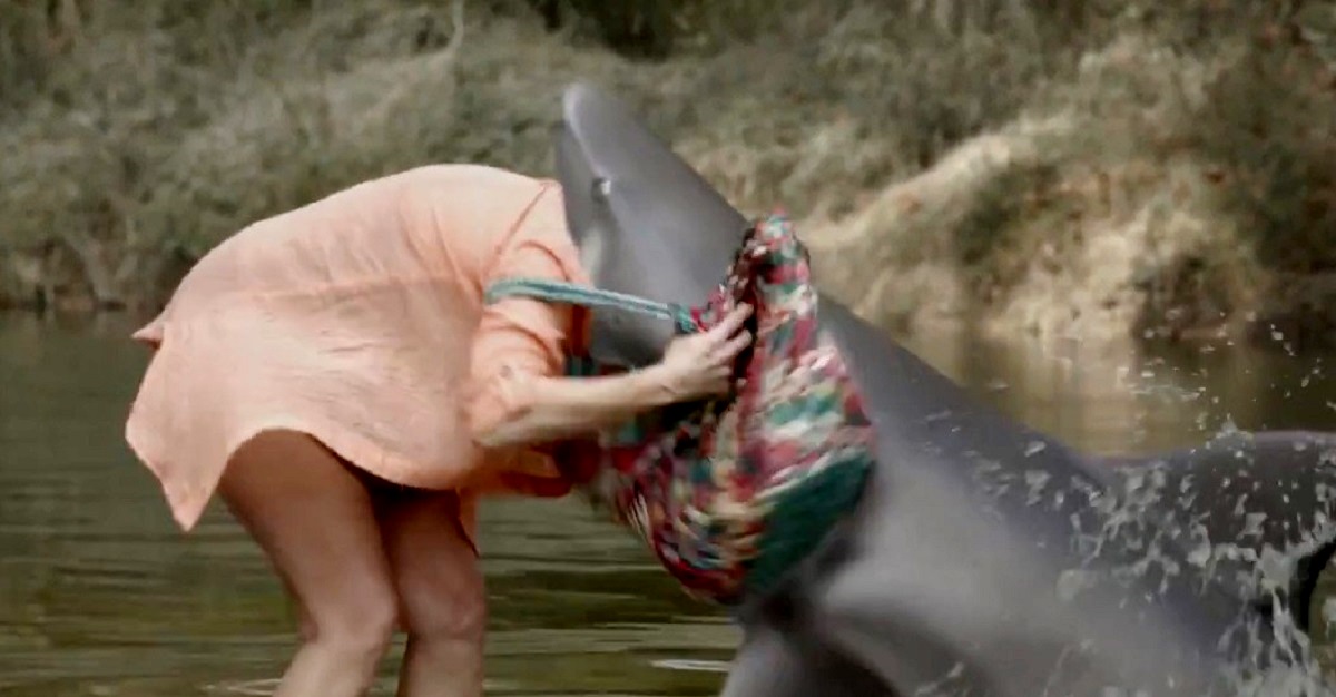Grandma (Sharon Garrison) gets her head bitten off by a shark in Ozark Sharks (2016)