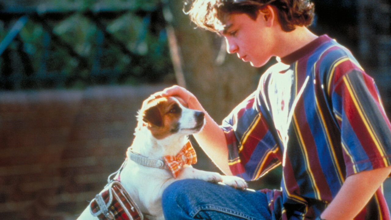 Nathan Cavaleri and PC the dog (voiced by Billy Connolly) in Paws (1997)