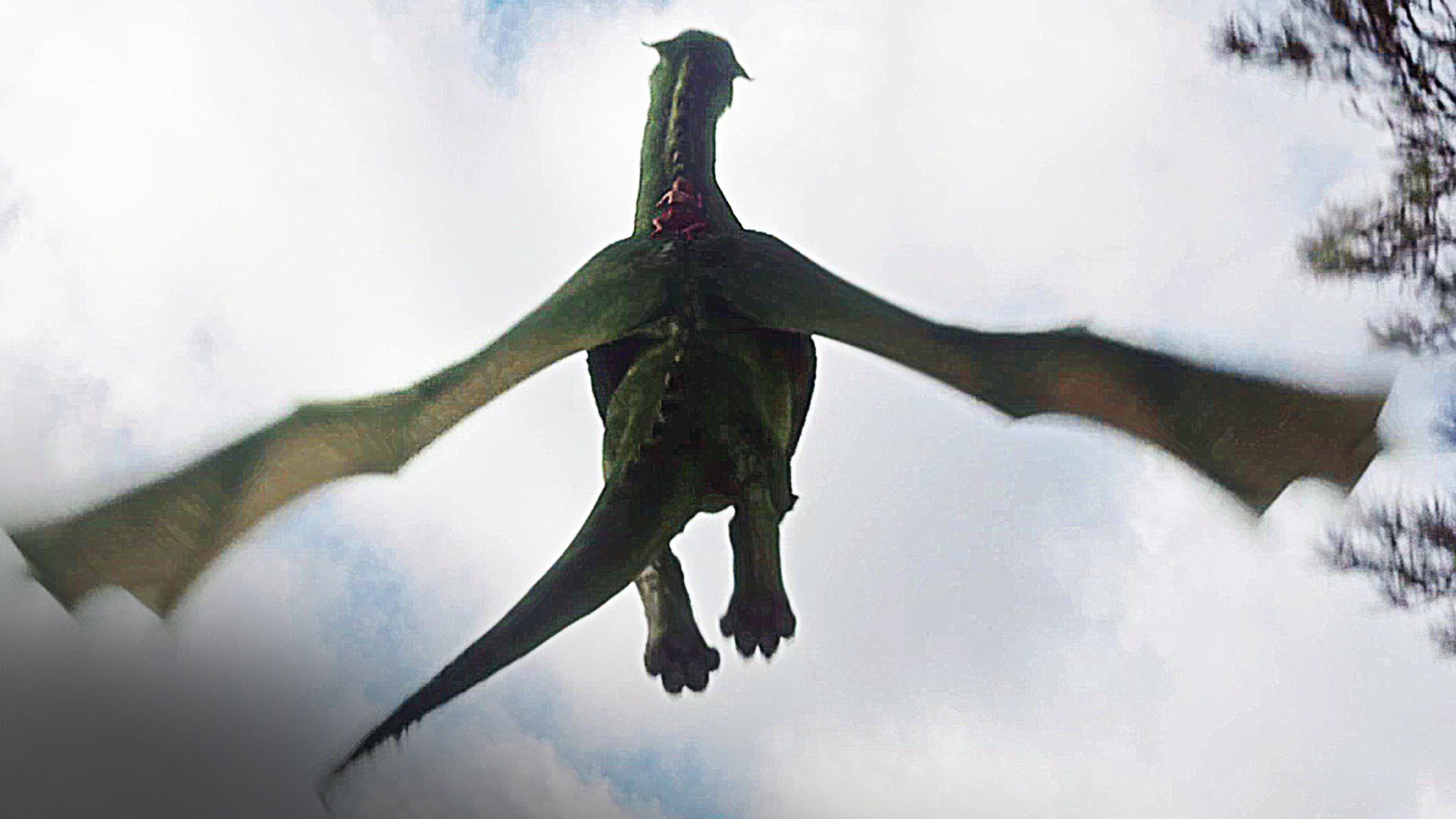 Elliott takes to the air in Pete's Dragon (2016)