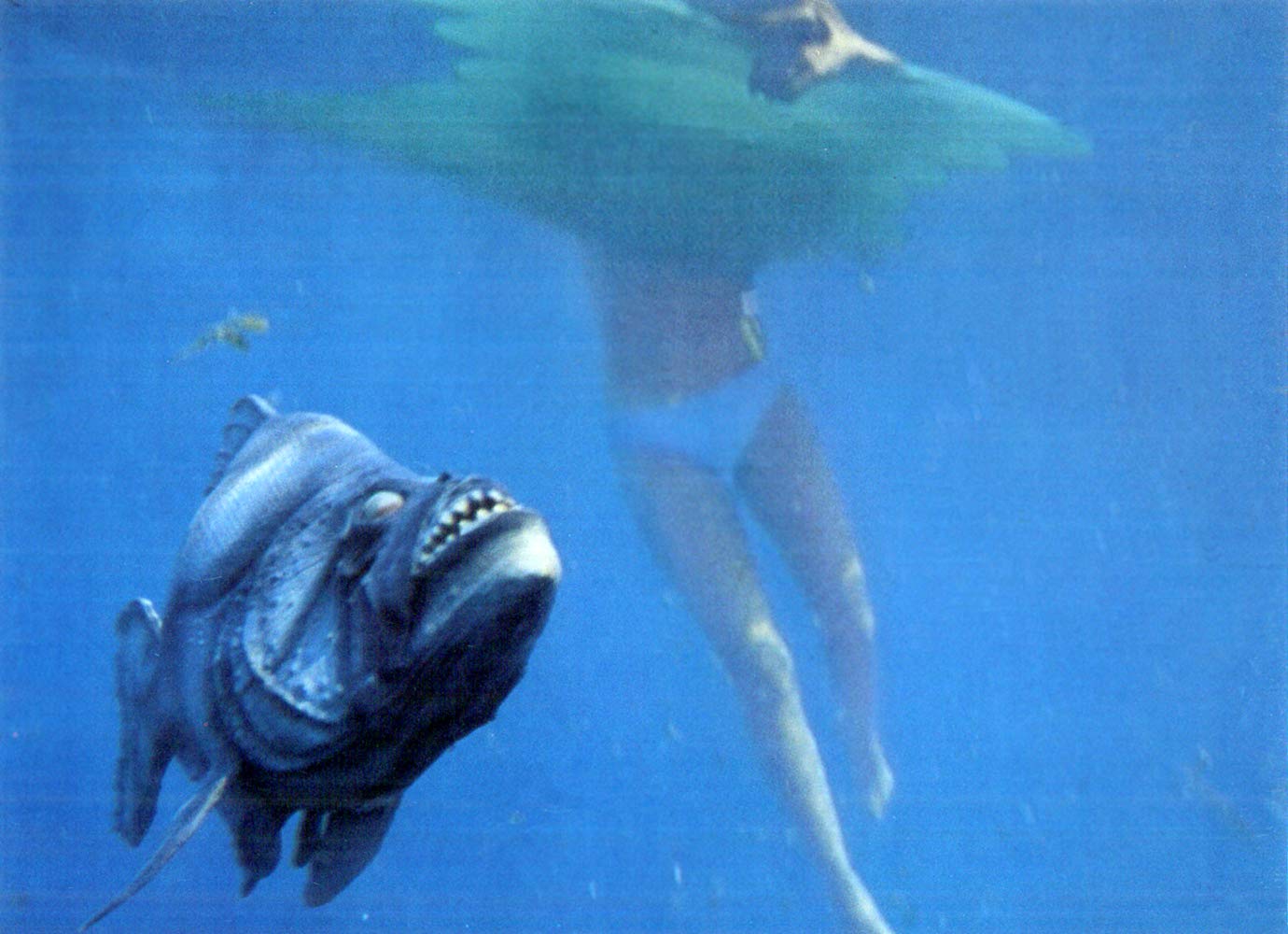 The piranha attack a bather in Piranha (1978)