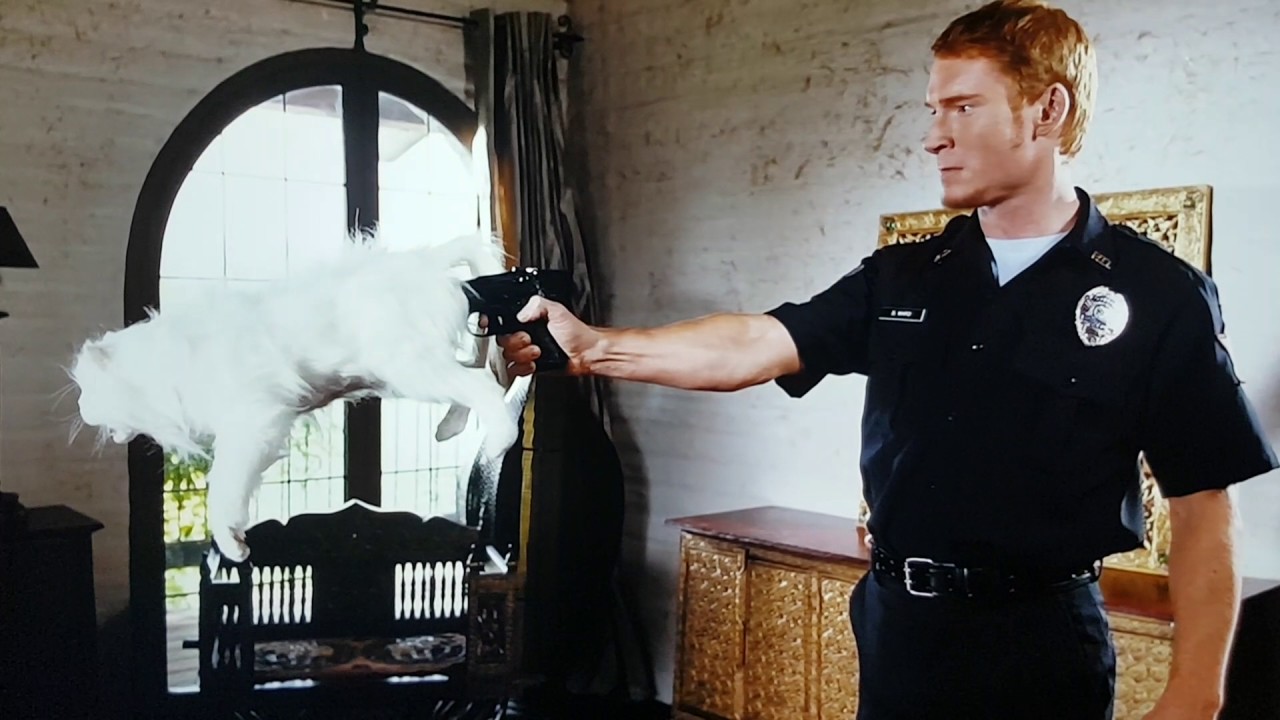 Zack Ward as Postal Dude on a shooting spree in Postal (2007)