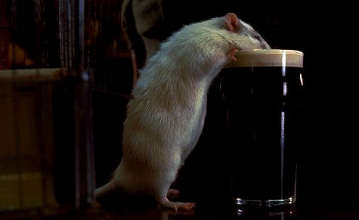 Pete Postlethwaite's man-rat goes for a pint in Rat (2000)