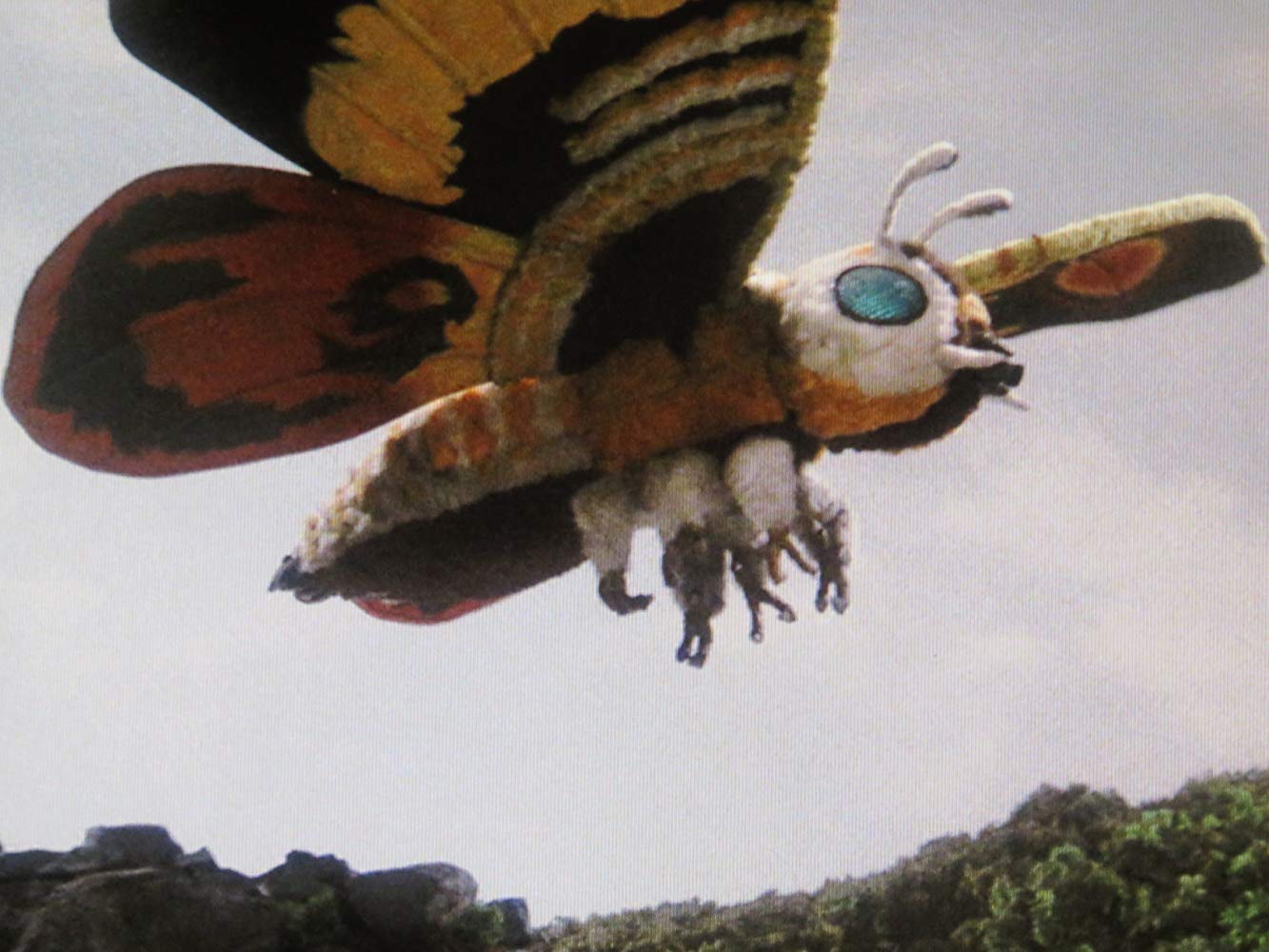 The return of Mothra in Rebirth of Mothra (1996) 