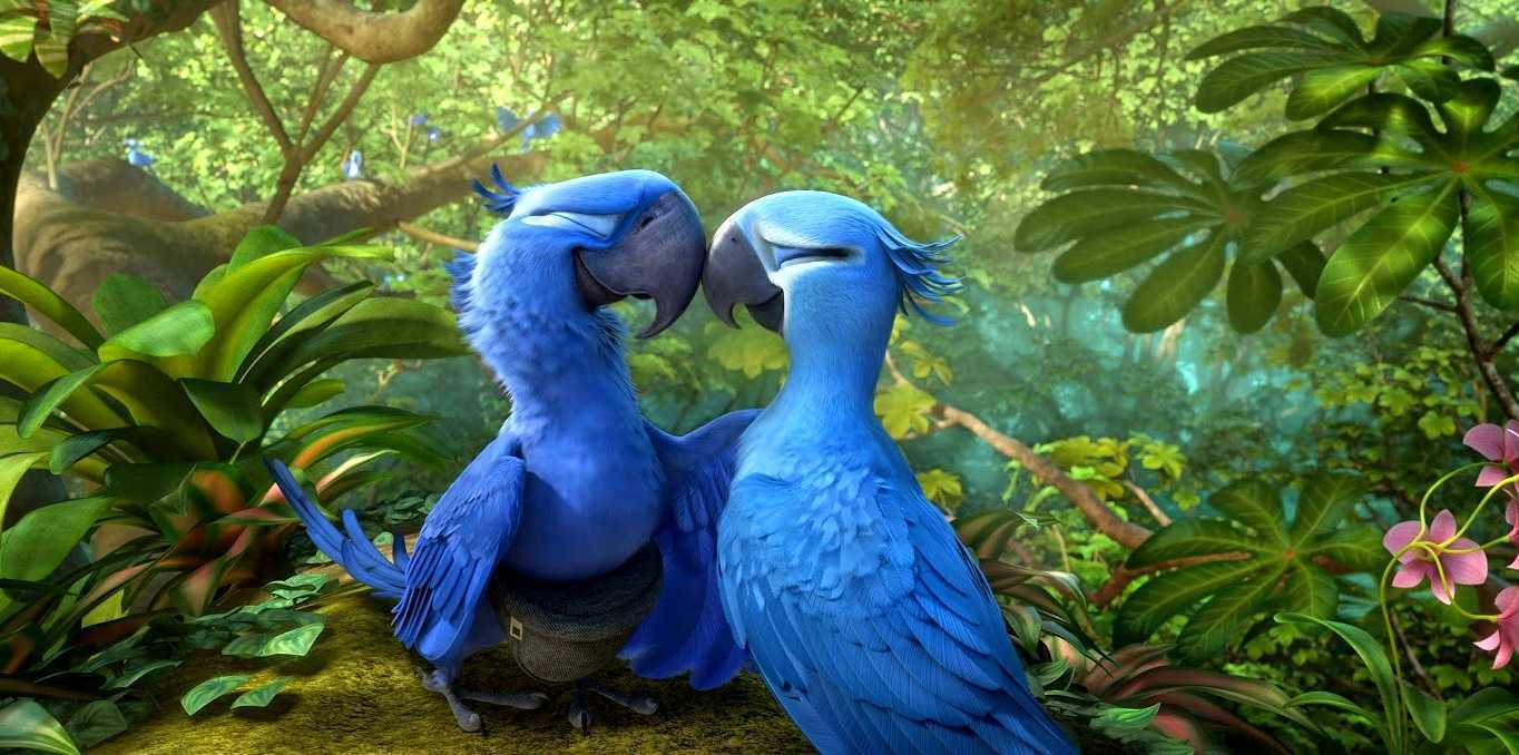 Blu and Jewel visit the Amazon in Rio 2 (2014)