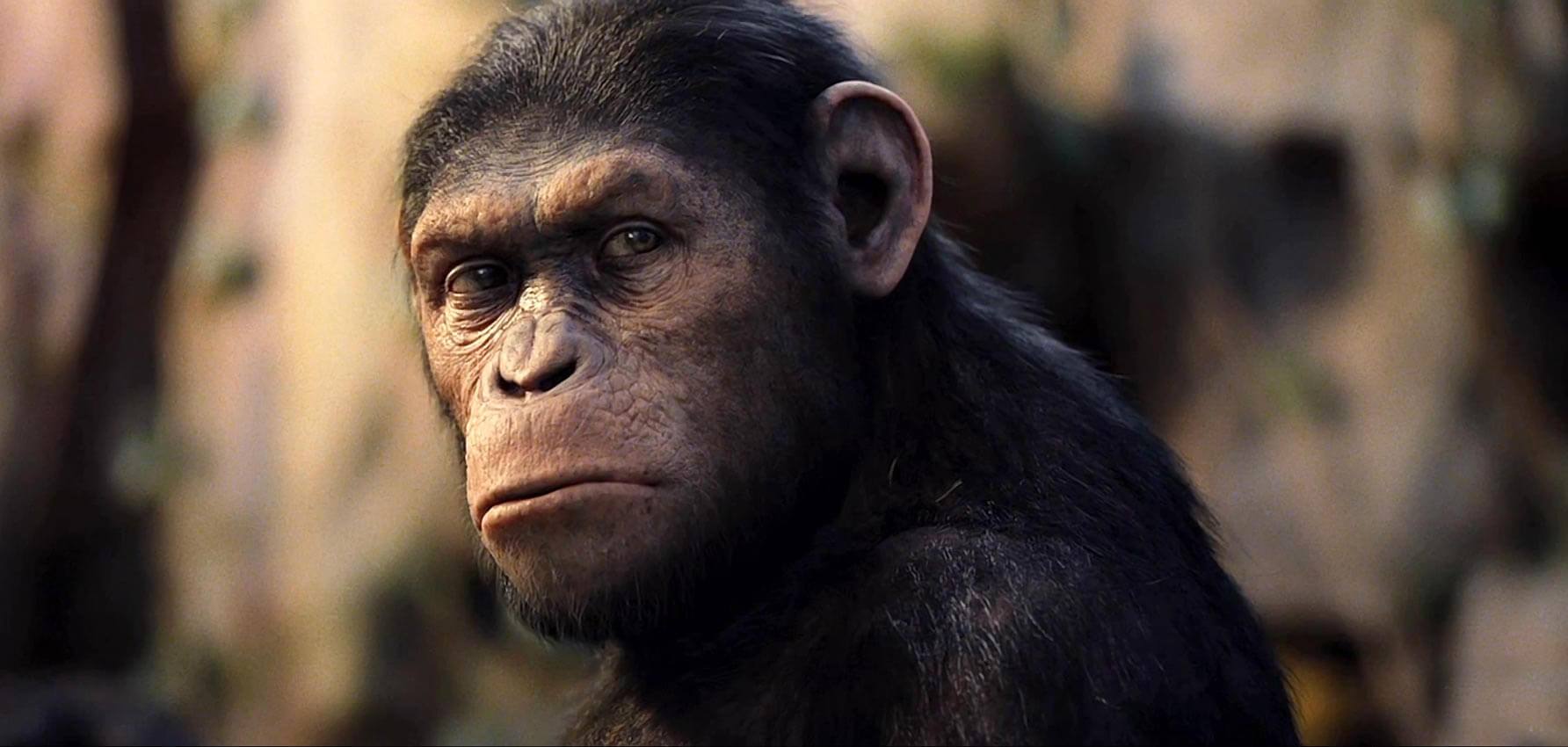 A motion capture animated Andy Serkis as Caesar in Rise of the Planet of the Apes (2011)