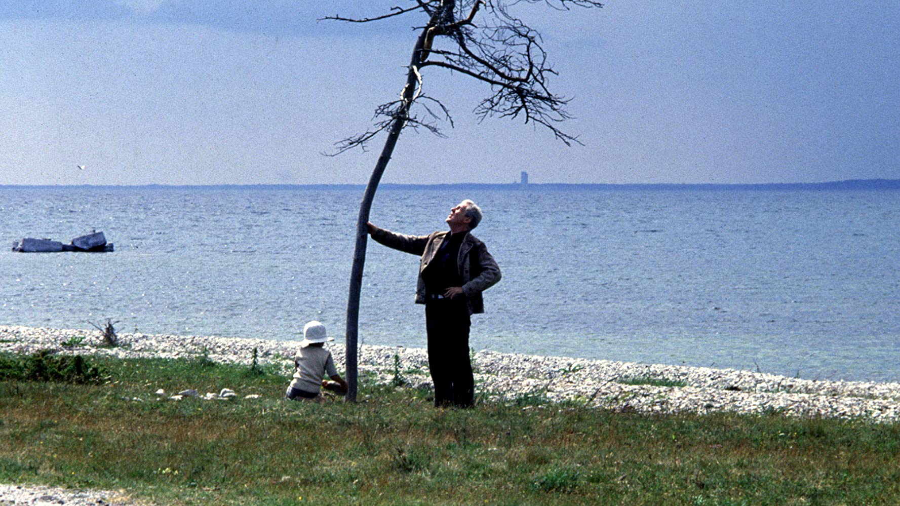 Erland Josephson waters the tree with his son in The Sacrifice (1986)