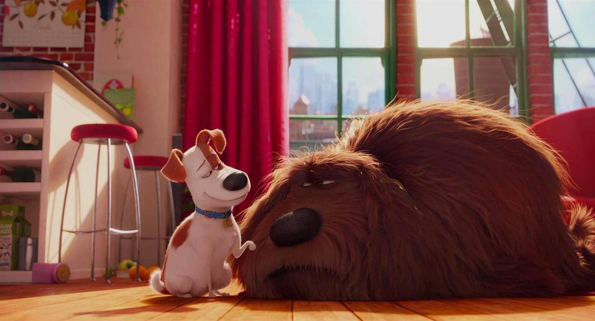 (l to r) Max (voiced by Louis C.K) resentful of the new housemate Duke (voiced by Eric Stonestreet) in The Secret Life of Pets (2016)