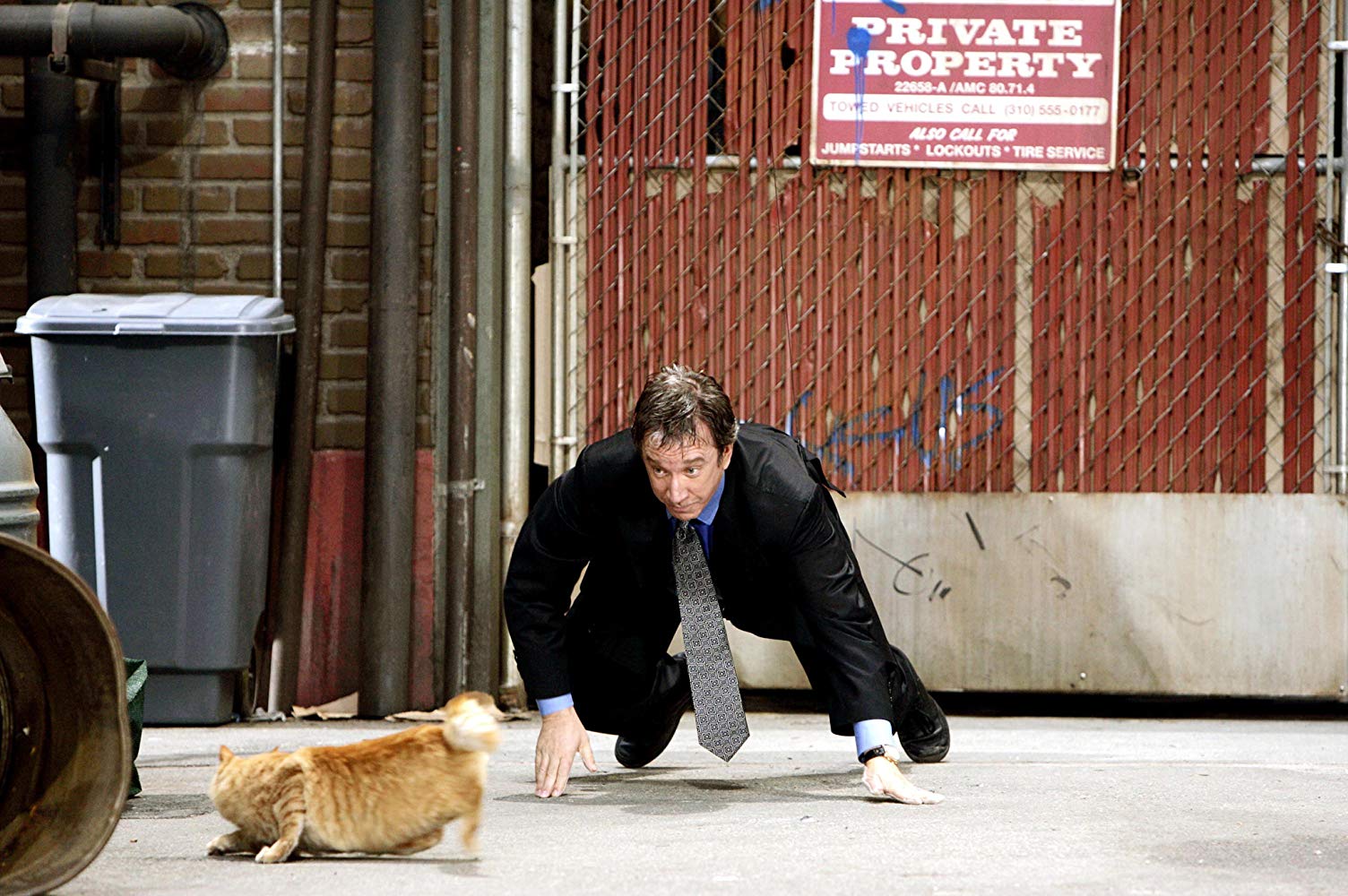 A part-canine Tim Allen chases a cat in The Shaggy Dog (2006)