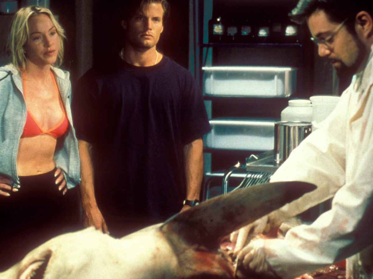 Jennifer McShane, Casper Van Dien and Bentley Mitchum examine a shark in Shark Attack (1999)