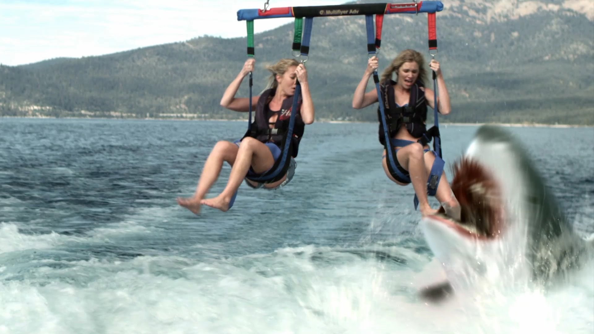 Shark attacks girls surfing in Shark Lake (2015)