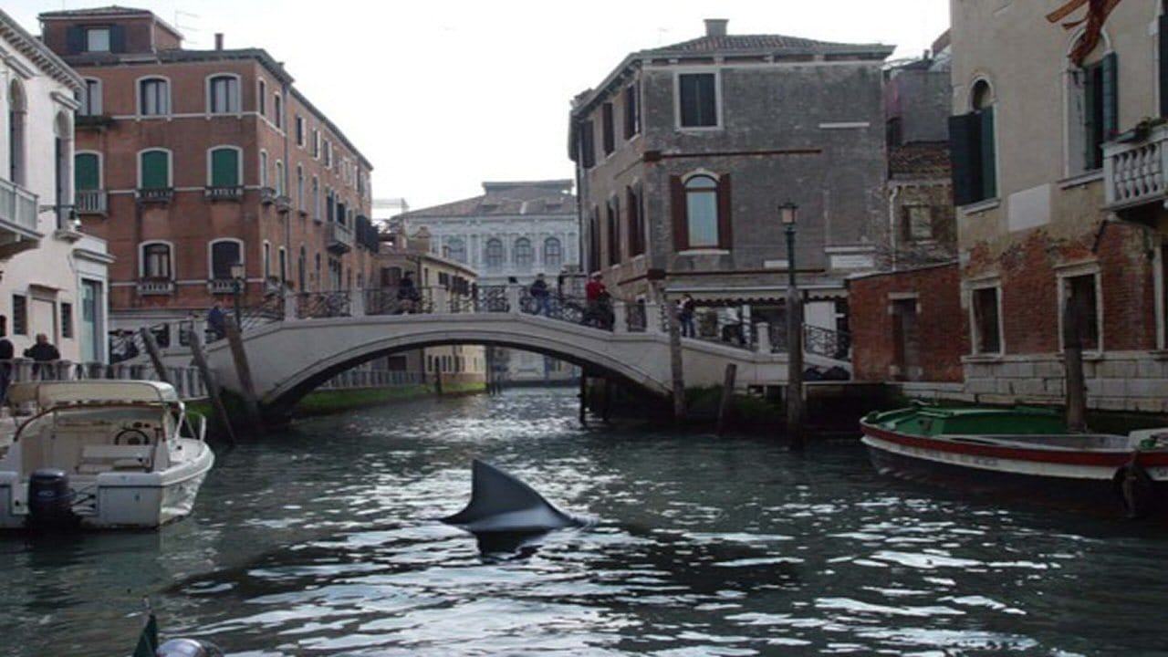 A shark prowls the canals of Venice in Shark in Venice (2008)