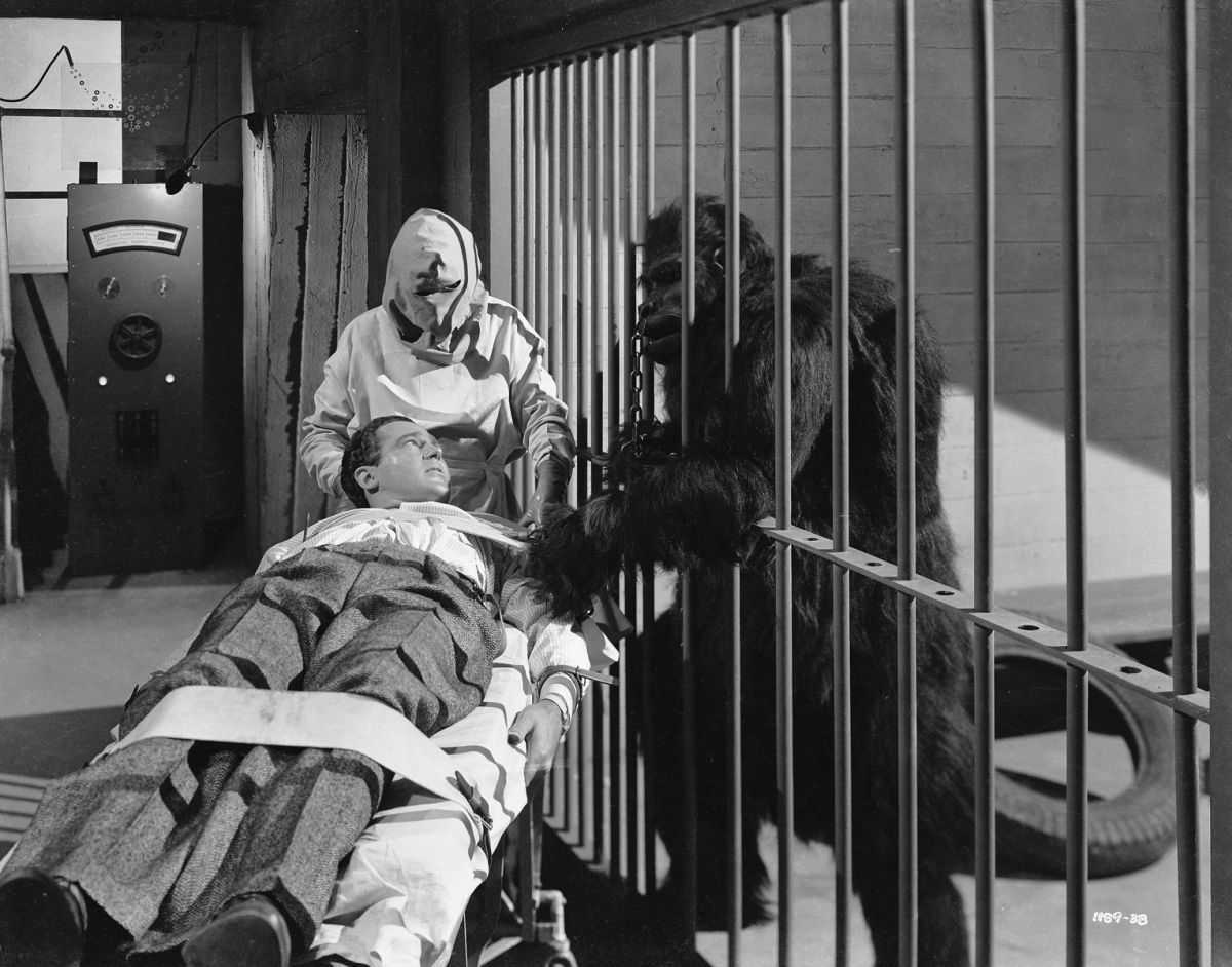 Patrick Knowles is wheeled away to the killer's laboratory while their gorilla looks on in The Strange Case of Doctor Rx (1942)