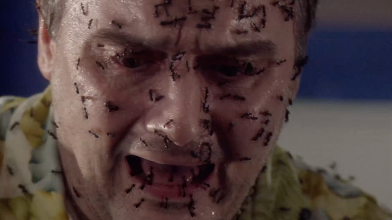 Passenger attacked by ants in Swarm (2007)