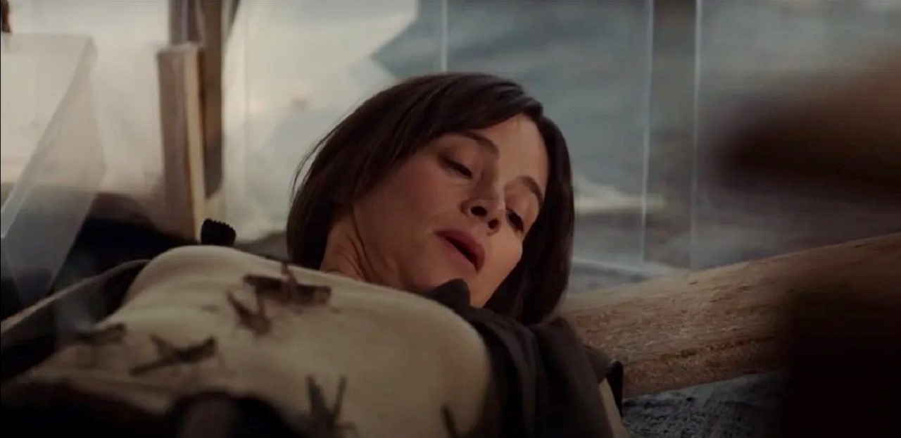 Suliane Brahim and locusts in The Swarm (2020)