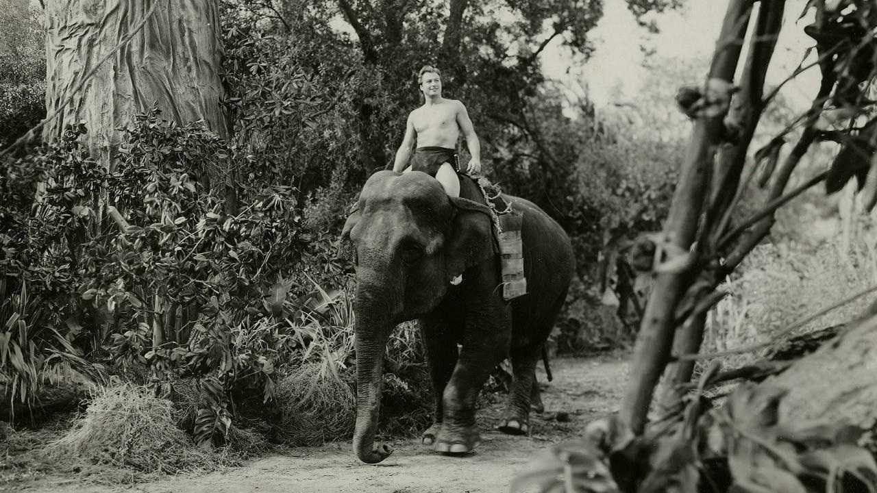 Tarzan (Lex Barker) on elephant in Tarzan and the She-Devil (1953)