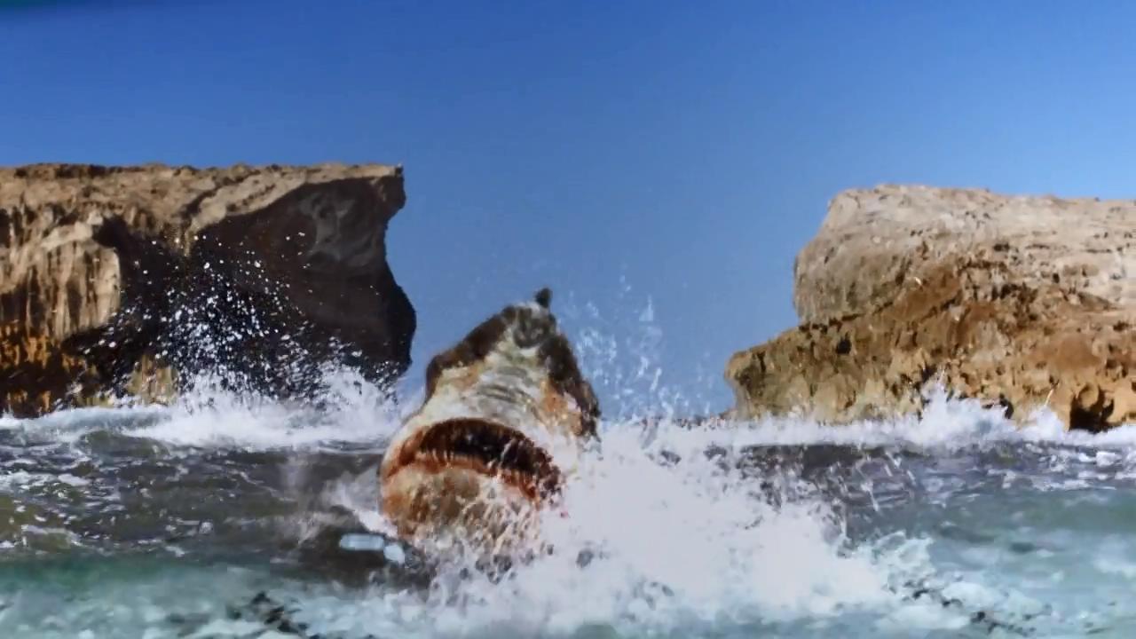 Shark attack in Toxic Shark (2017)