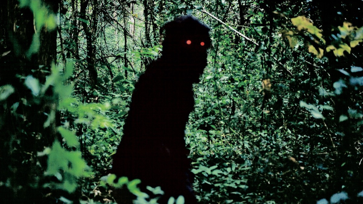 Monkey Ghost in Uncle Boonmee Who Can Recall His Past Lives (2010)