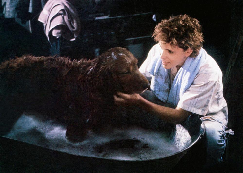 Corey Haim with an unusually intelligent dog in Watchers (1988)