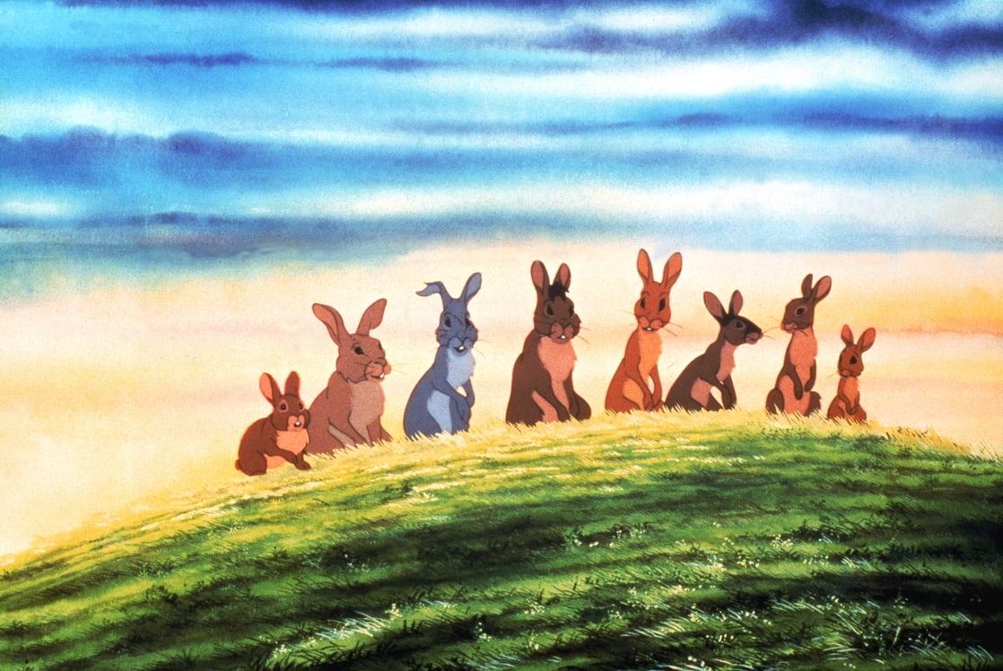 Rabbits on a quest to create a new warren in Watership Down (1978)